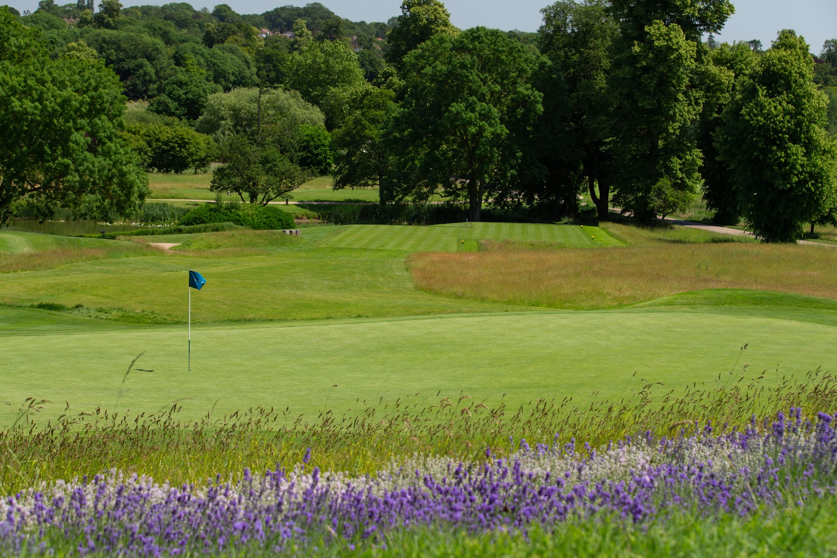 The Grove Golf Course